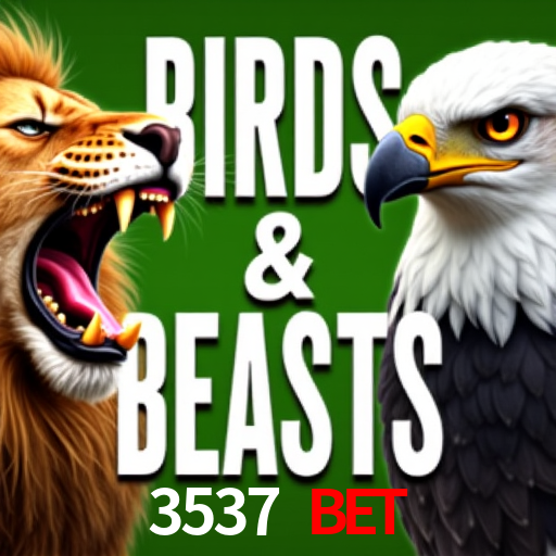 3537 bet,3537bet.com